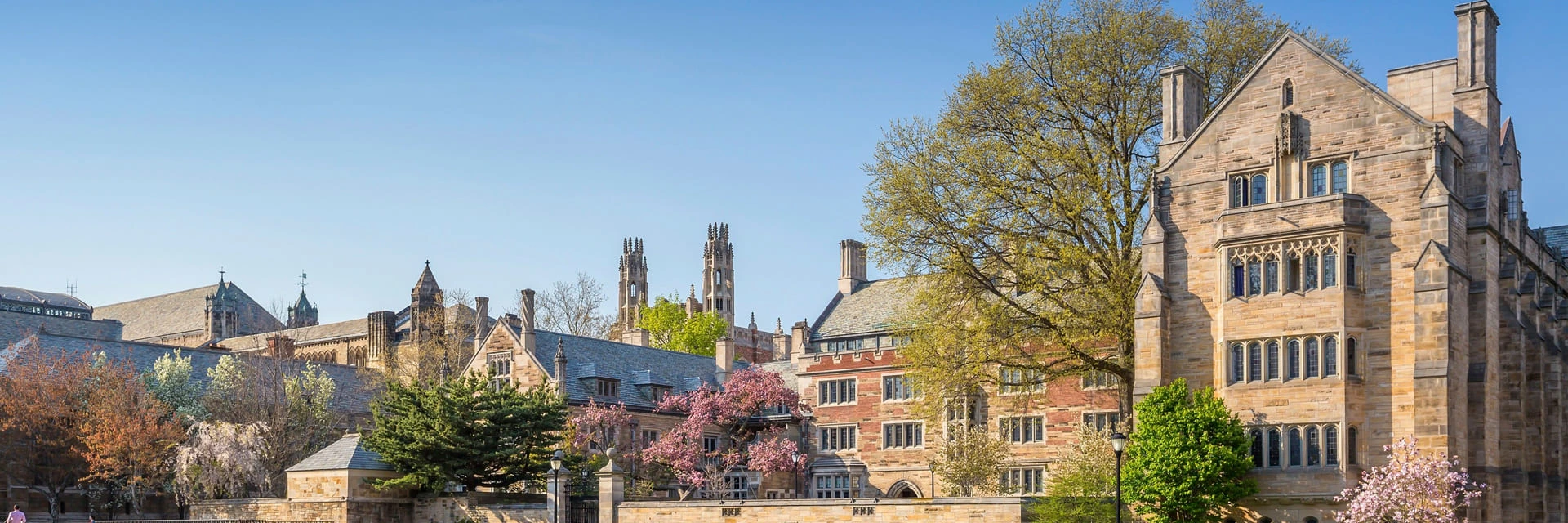 NYU