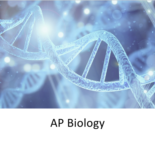 7EDU AP Class_ AP Biology