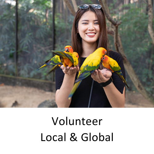 7EDU Volunteer Local and Global